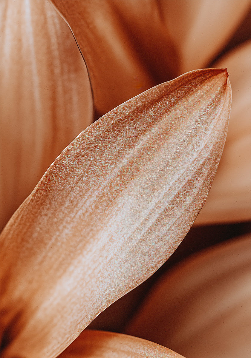 Bernsteinblüten-Eleganz