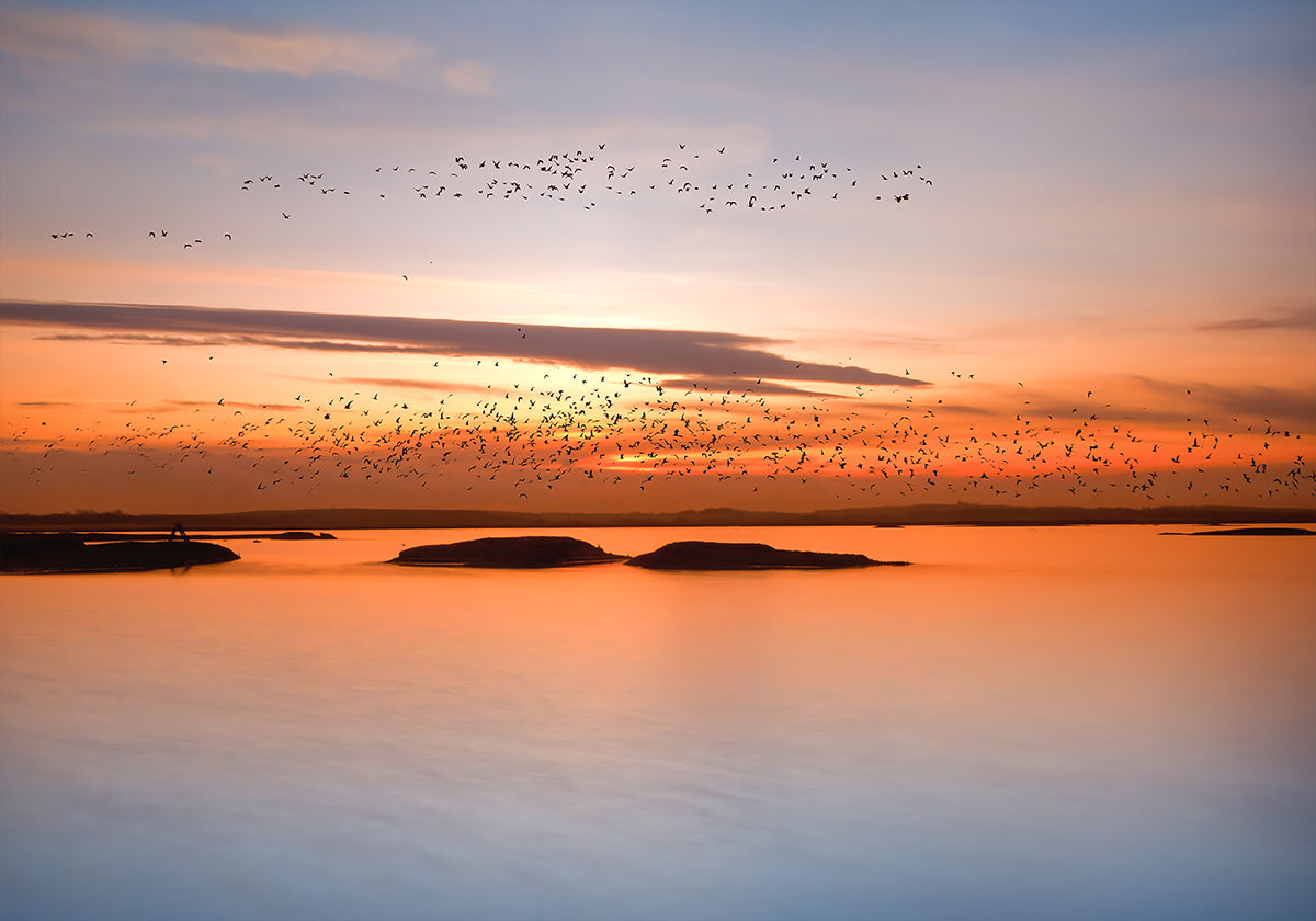 Poster zum Sonnenuntergang in der Stadt