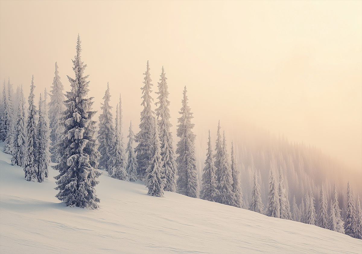Poster mit verschneiten Kiefern in der Winterlandschaft