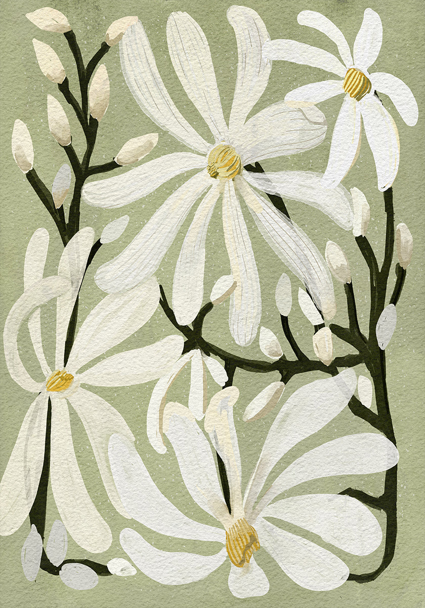 Poster mit Stern-Magnolien-Blumenmuster auf salbeifarbenem Hintergrund
