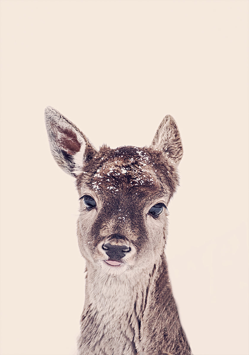 Rehkitz-Rosé-Beige-Poster