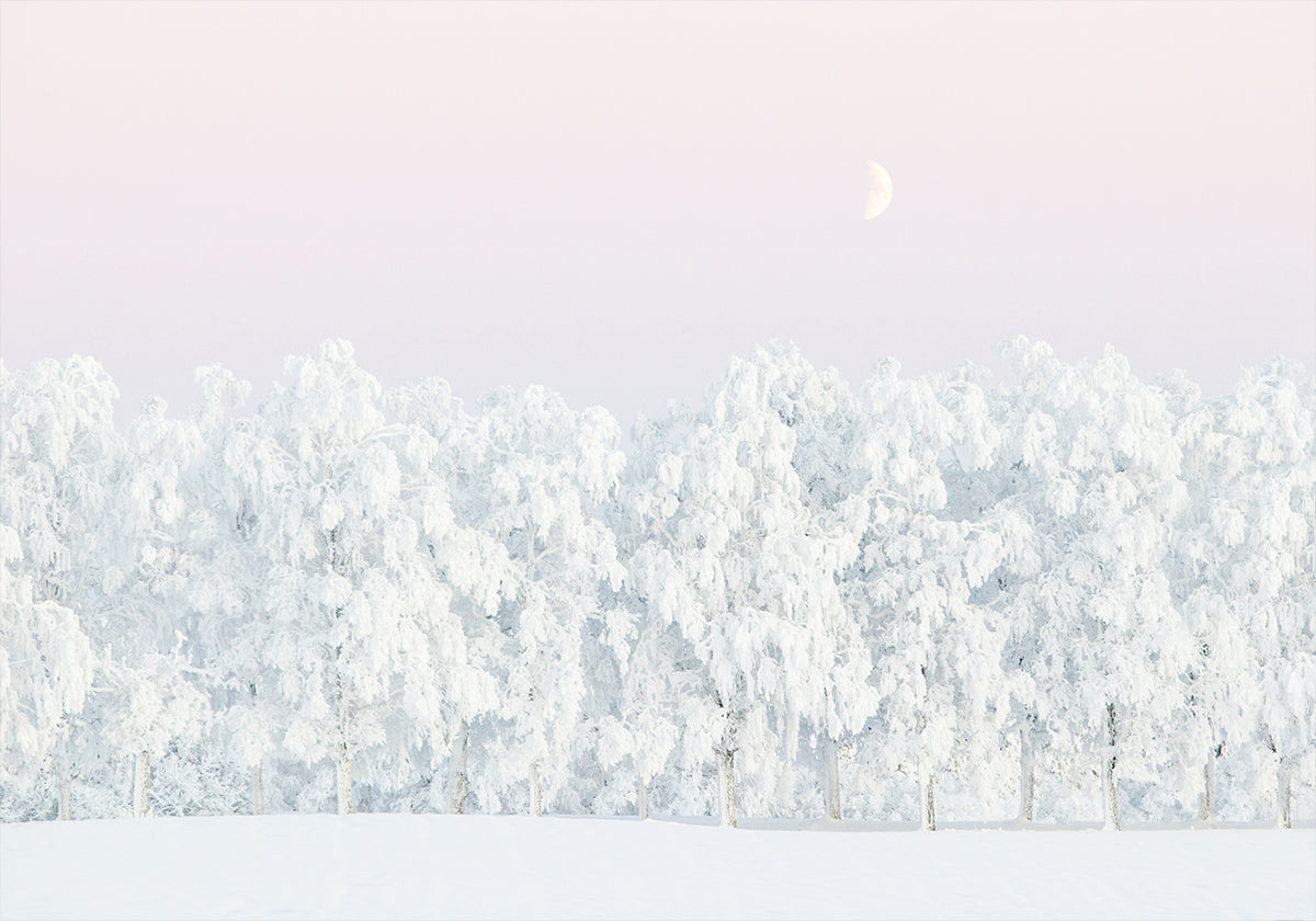 Rosa Winterzauber-Poster