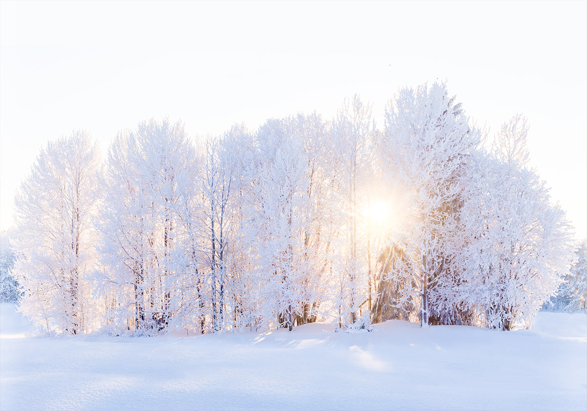 Das Licht kehrt zurück Poster
