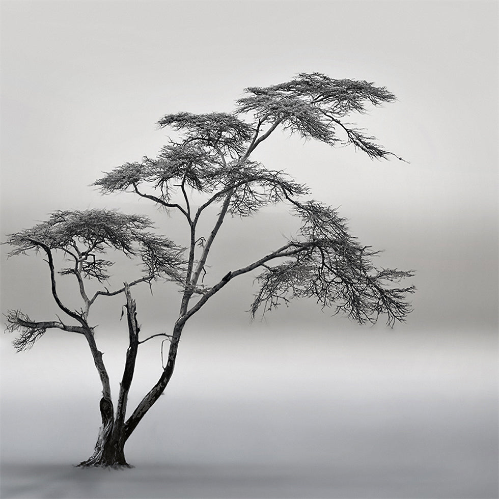 ein sehr langes Story-Poster