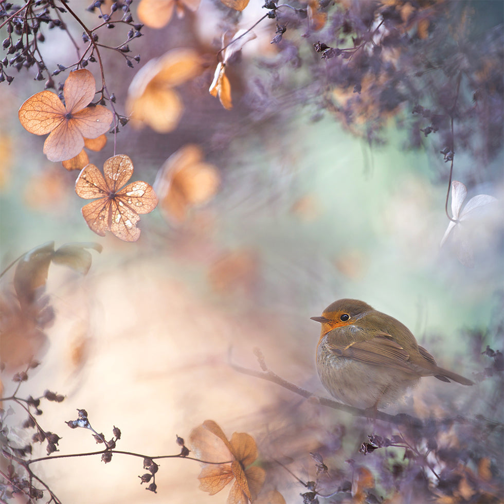 Hortensien-Fantasie-Poster