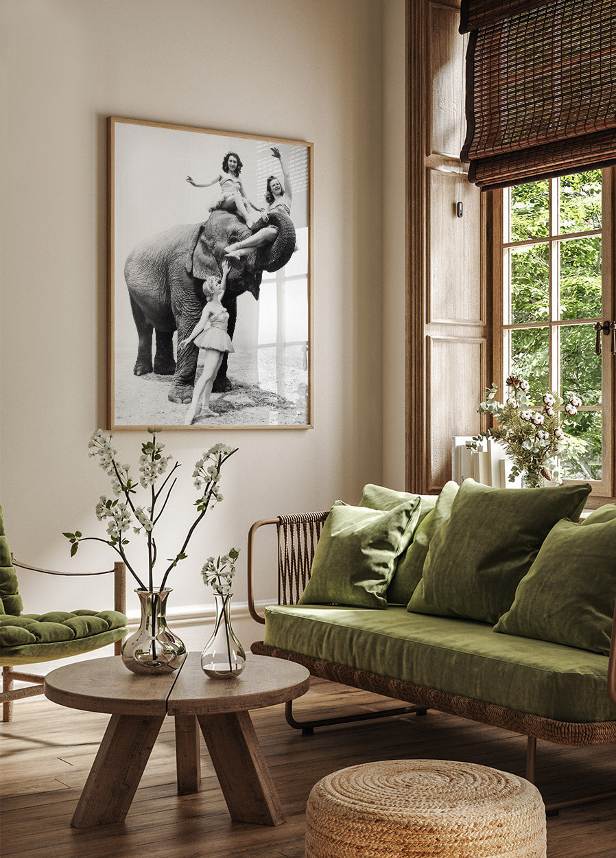 Frauen reiten Elefanten Poster - Posterbox.no