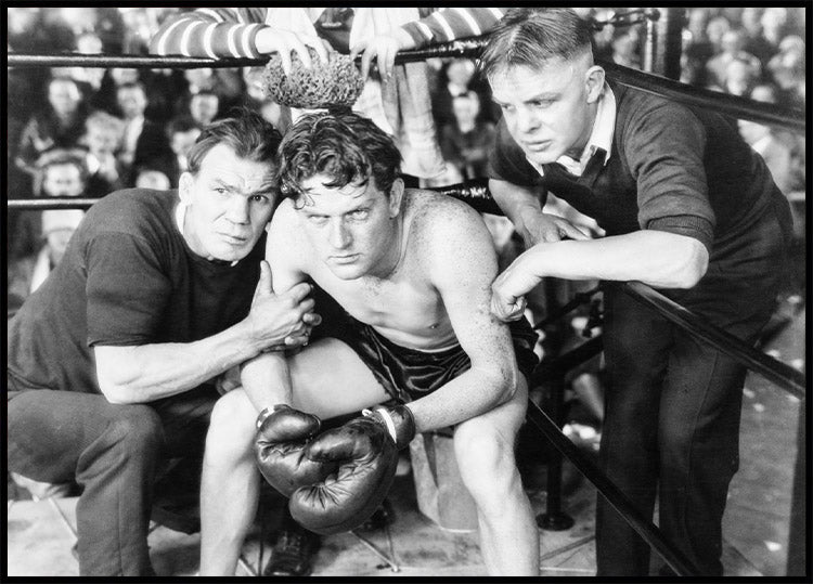 Boxer in der Ecke Poster - Posterbox.no