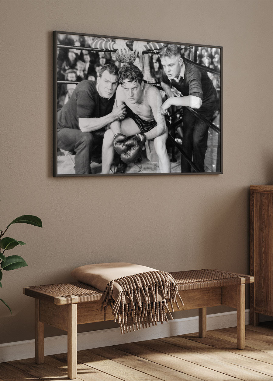 Boxer in der Ecke Poster - Posterbox.no