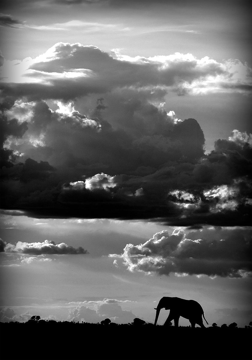 Er geht unter einem afrikanischen Himmel