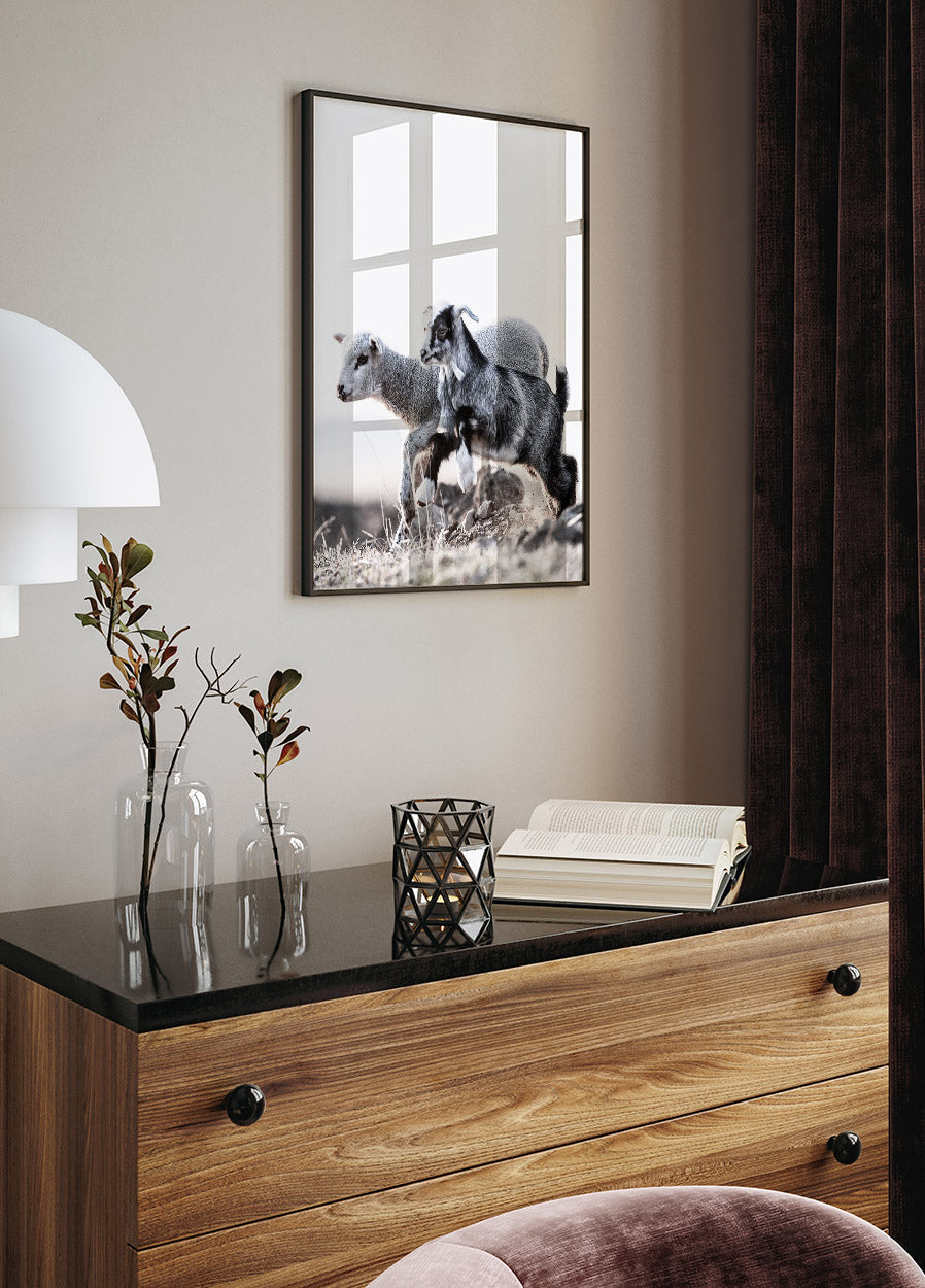 Lamm Poster - Posterbox.no