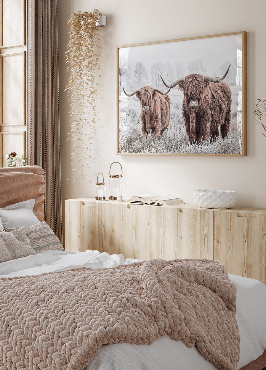 Schottisches Rinderplakat - Posterbox.no