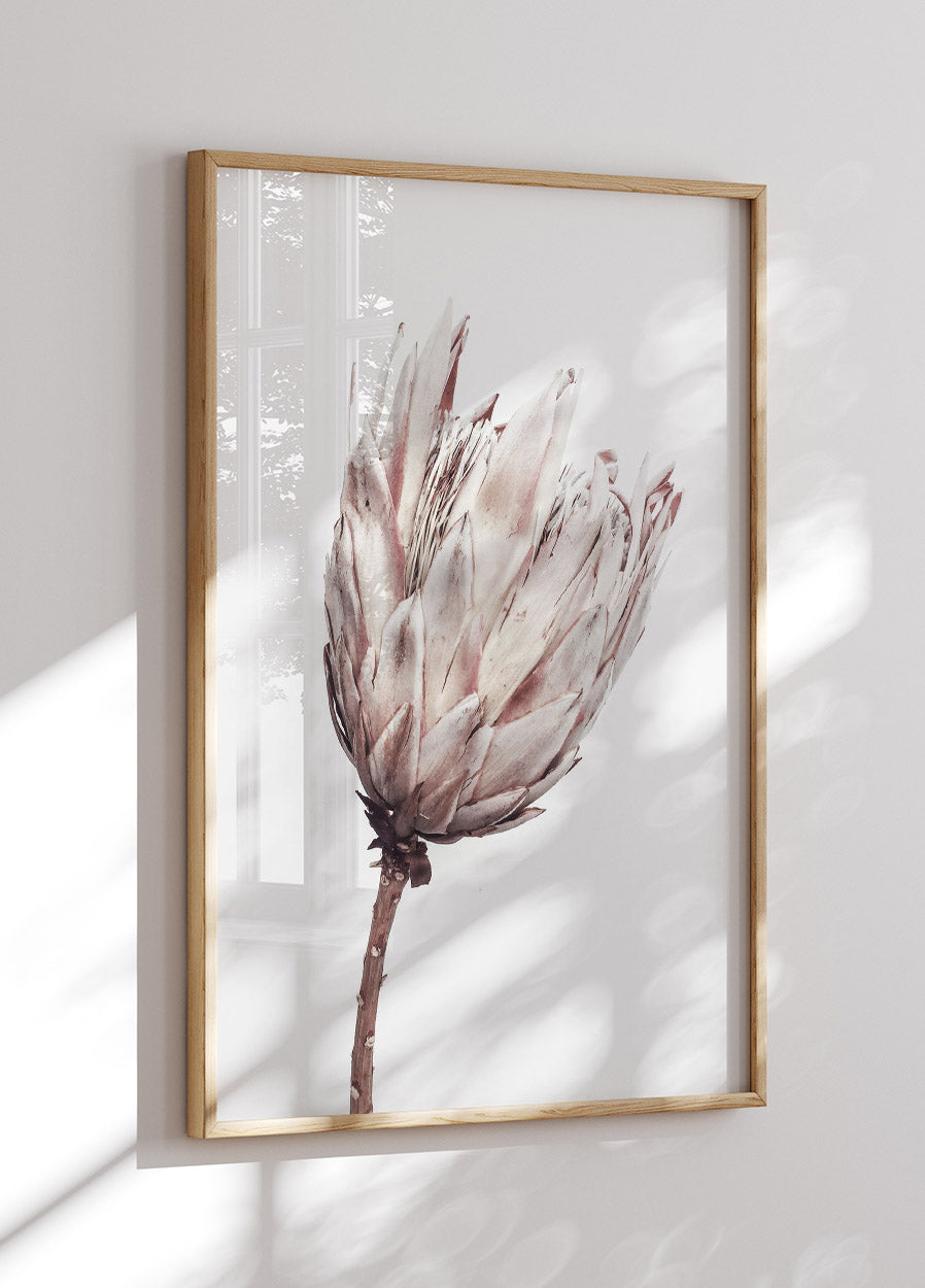 Close Up Dried Flower Poster - Posterbox.no