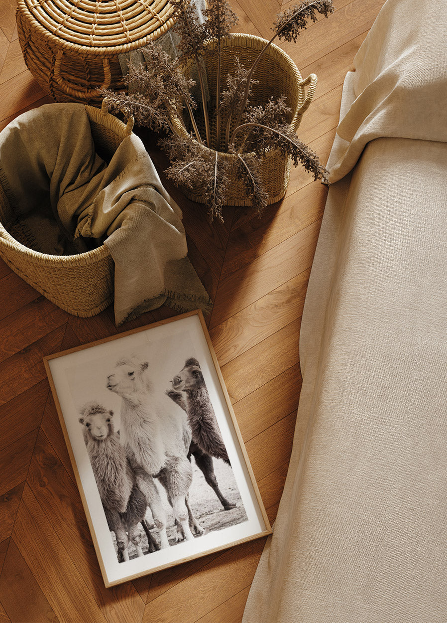 Kamele in der Wüste Poster - Posterbox.no