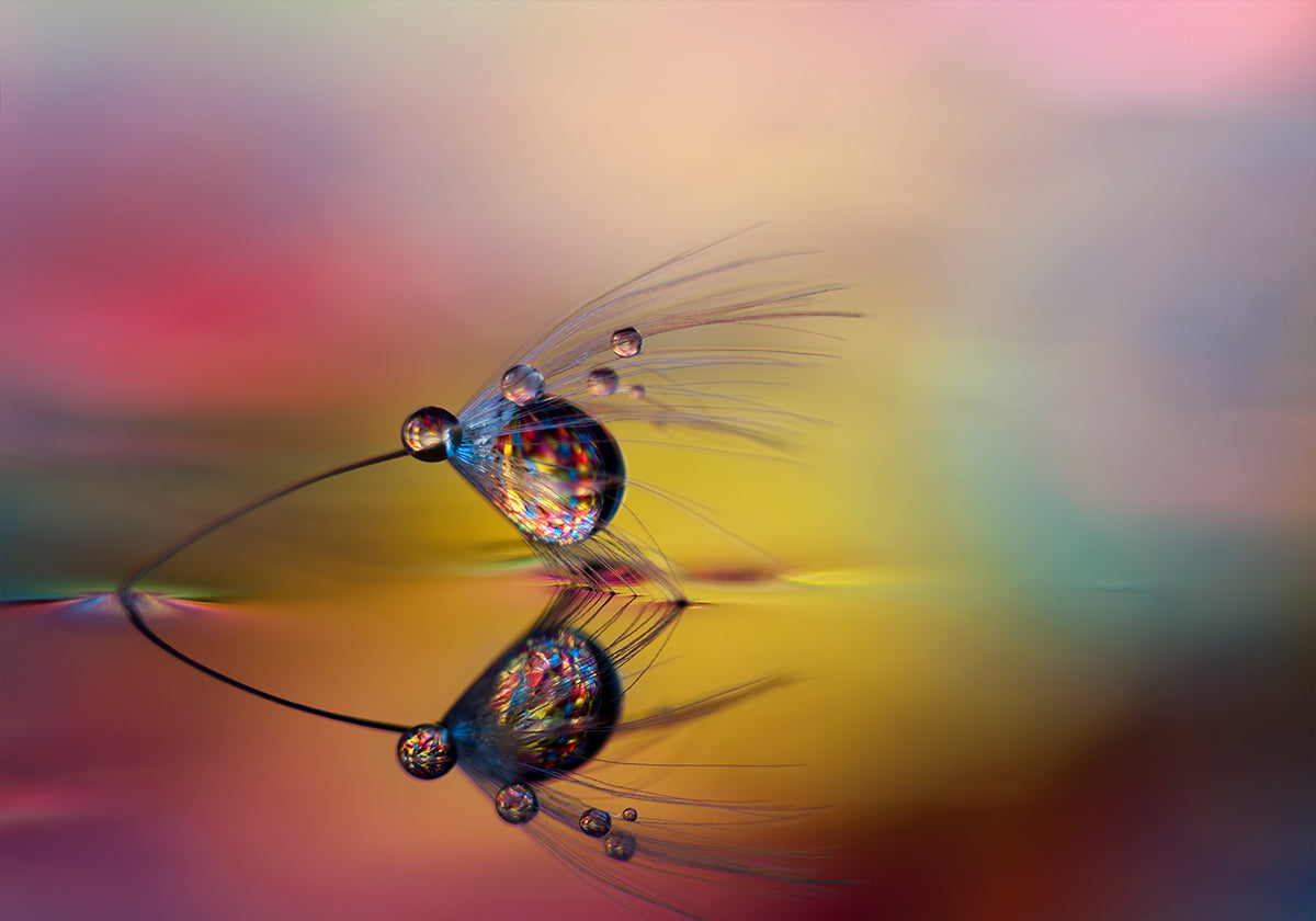 Färben Sie die Dunkelheit