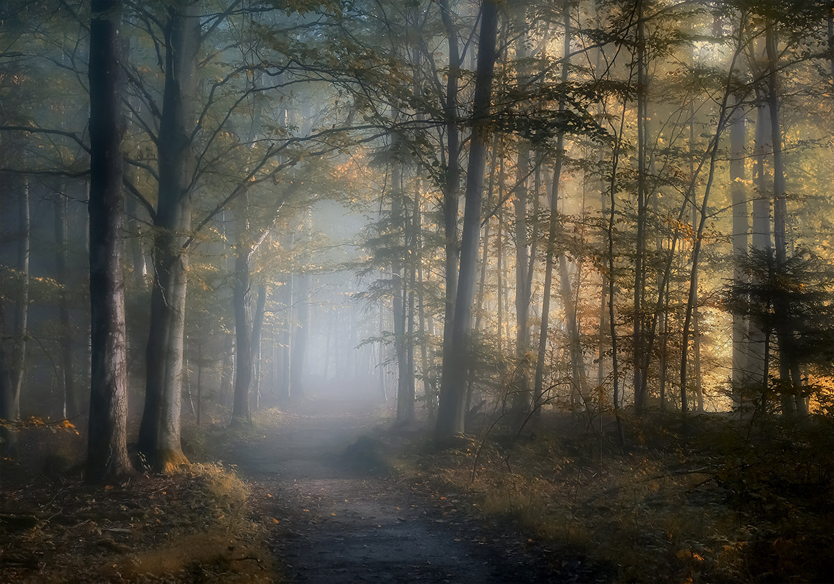 Poster zur Herbstsymphonie