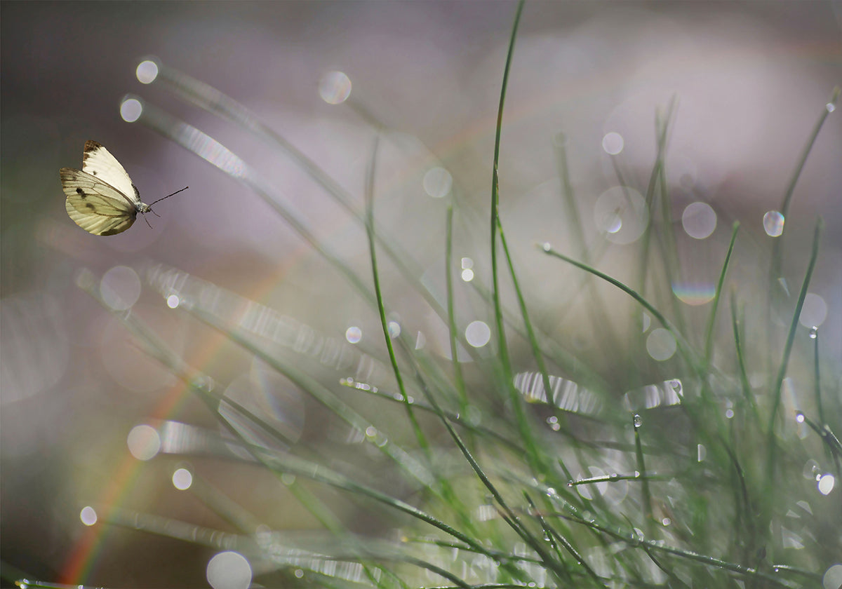 Unmittelbare Landung