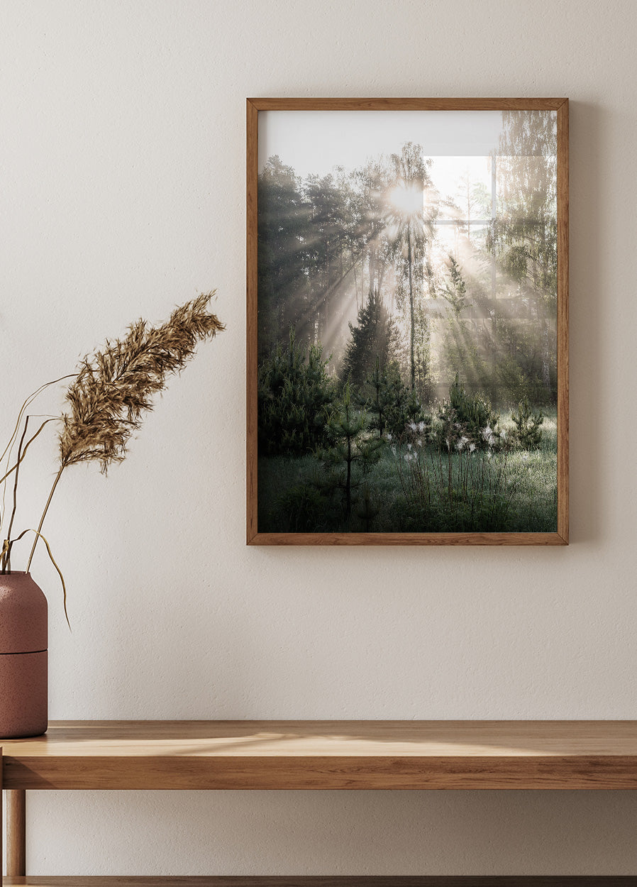 Sonnenstrahlen im Wald Sunshine Forest Poster - Posterbox.no