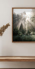Sonnenstrahlen im Wald Sunshine Forest Poster - Posterbox.no