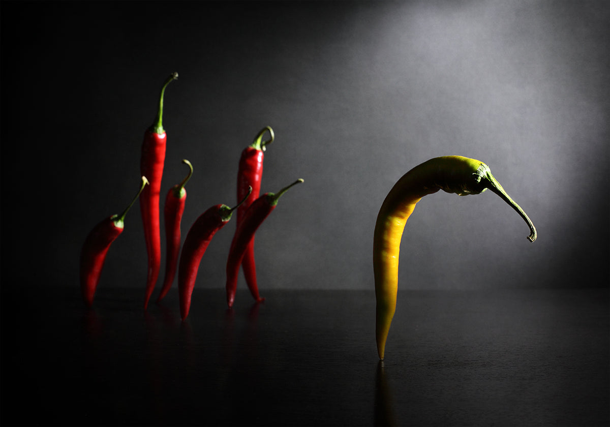 Mach dich auf den Weg, Jack!