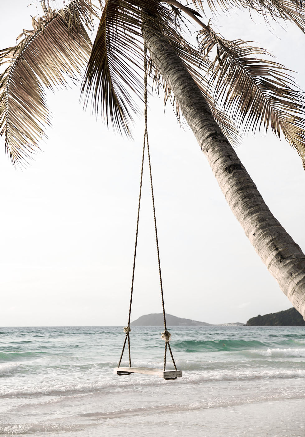 Palme mit Schaukel Poster - Posterbox.no