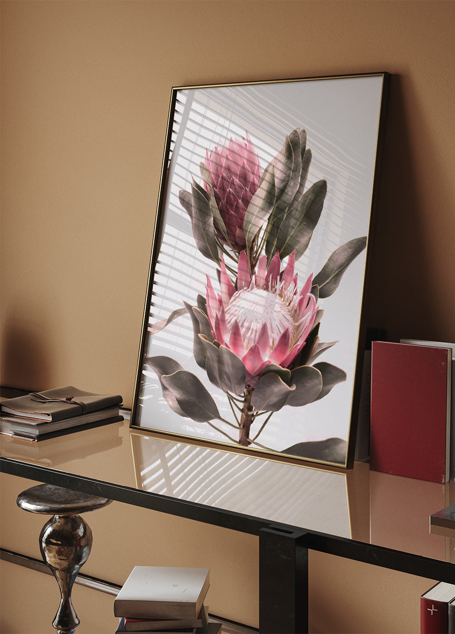 Protea Flowers Poster - Posterbox.no