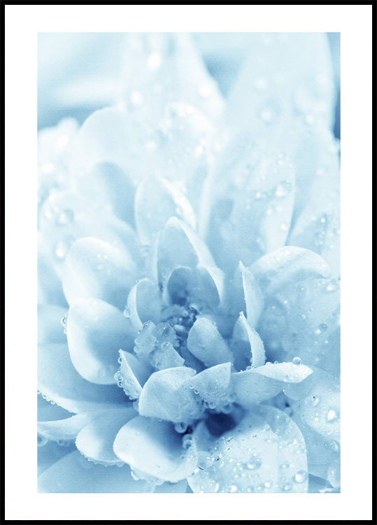 Blaue Blumen Poster - Posterbox.no
