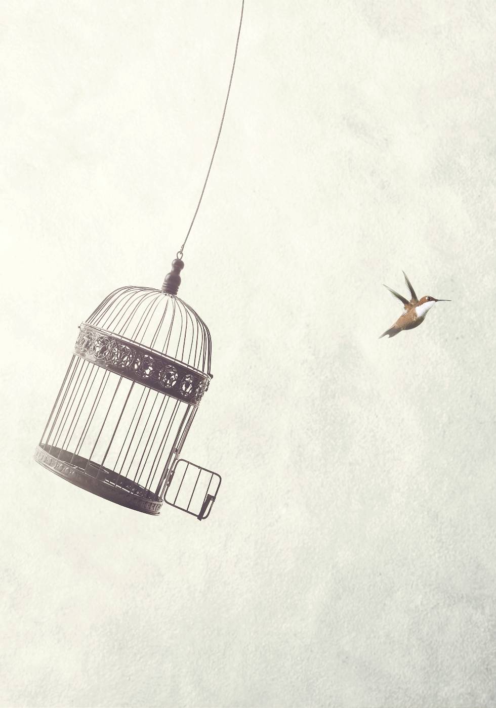 Flying Towards Freedom Poster - Posterbox.no