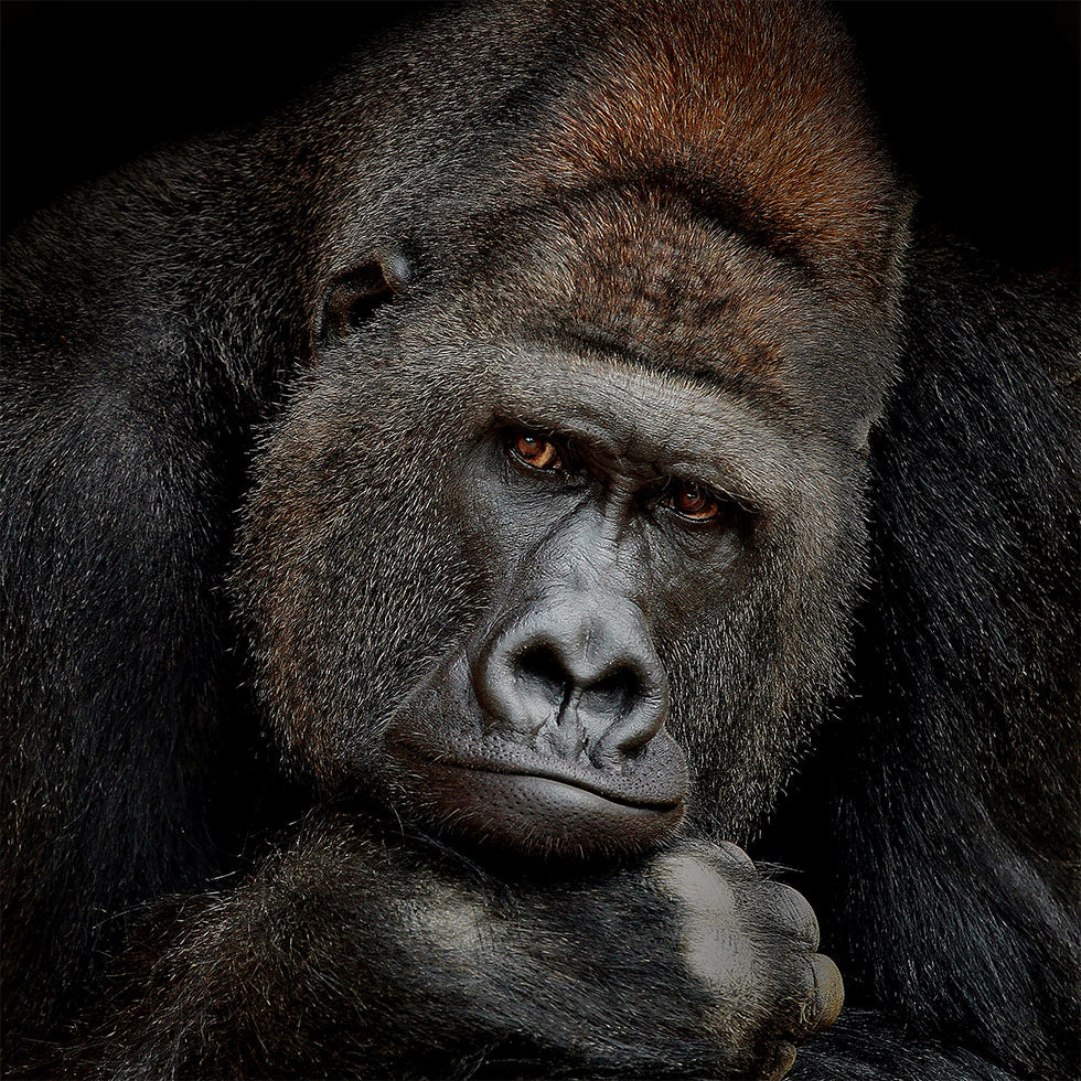 EIN MOMENT IN KONTAKT Poster