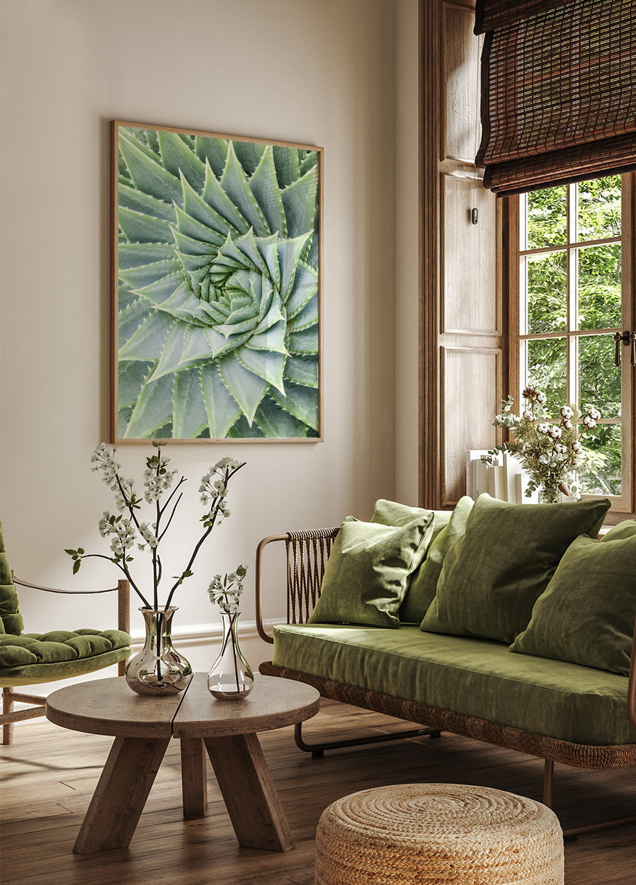 Aloe Vera Pflanzenposter - Posterbox.no