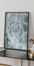 Blumen-Kaktus-Sukkulenten-Poster - Posterbox.no