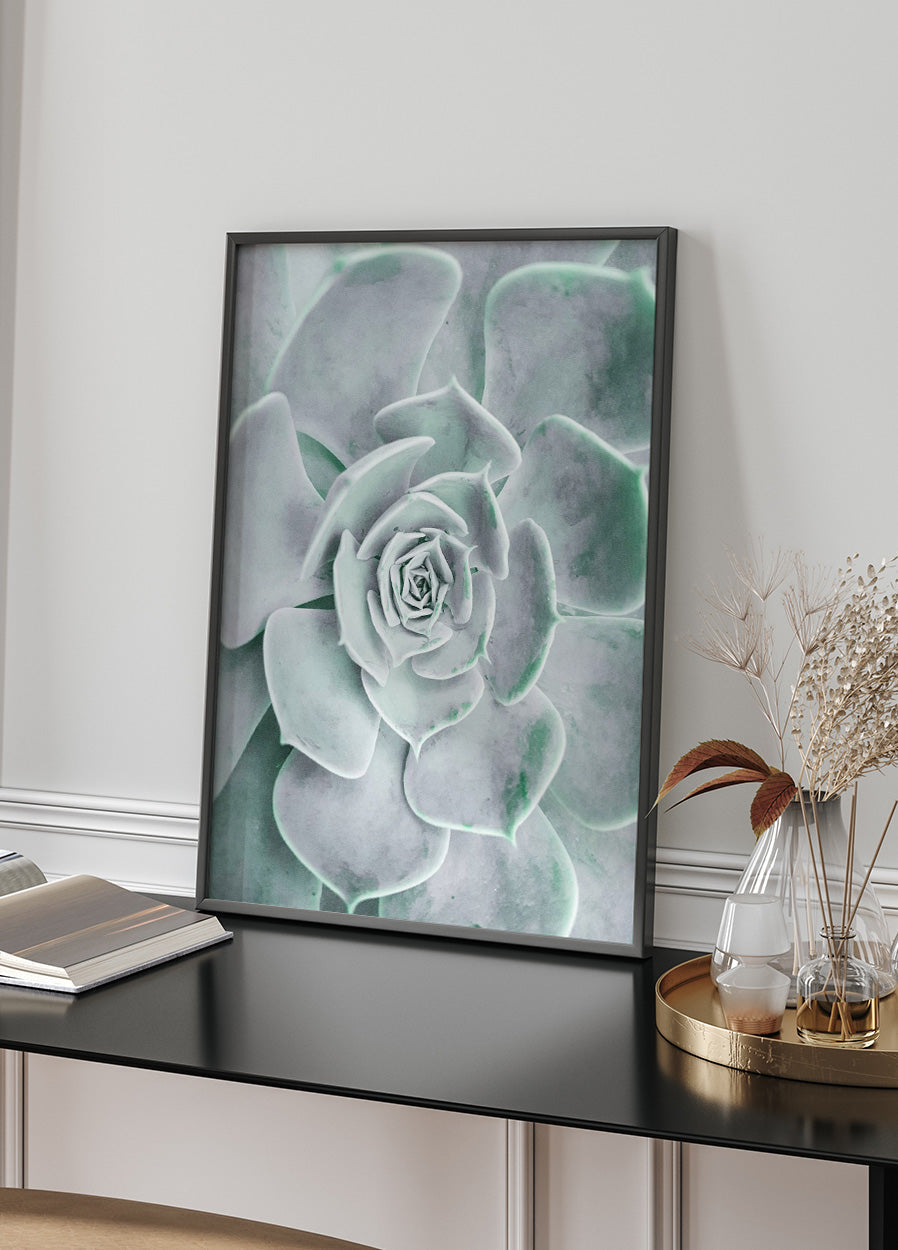 Blumen-Kaktus-Sukkulenten-Poster - Posterbox.no