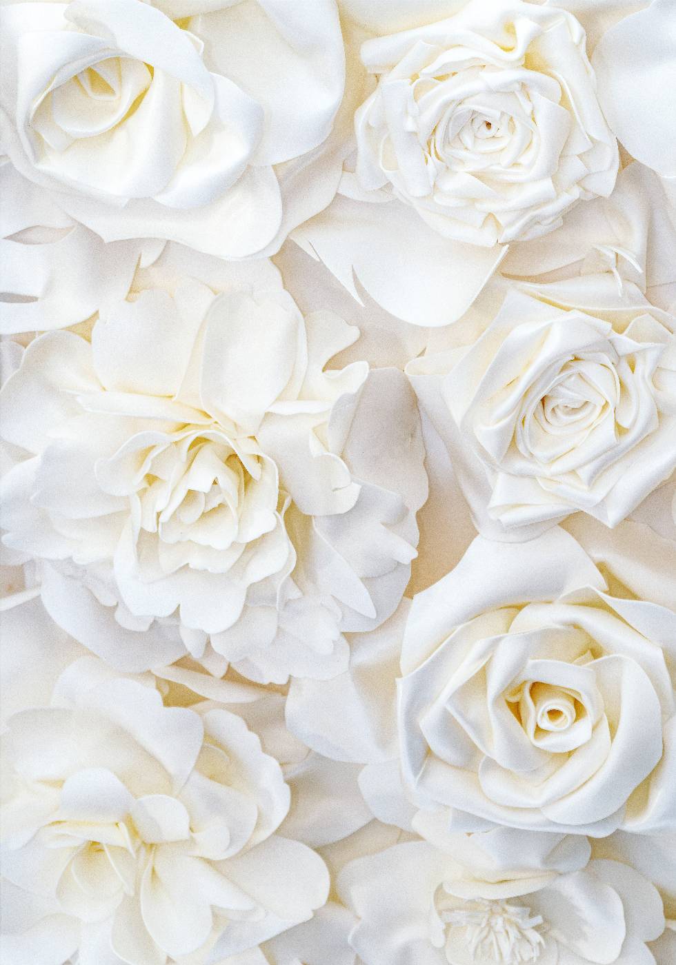 Poster mit weißen Rosenknospen - Posterbox.no