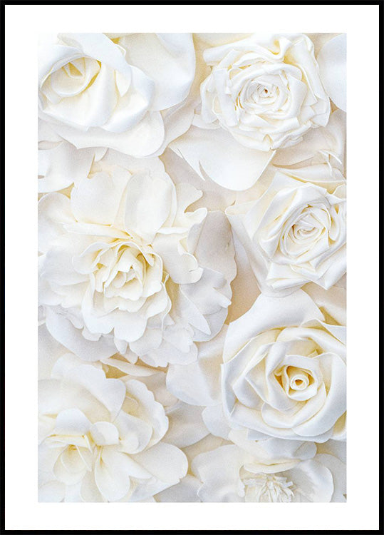 Poster mit weißen Rosenknospen - Posterbox.no