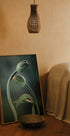 Tulpenknospen-Poster - Posterbox.no