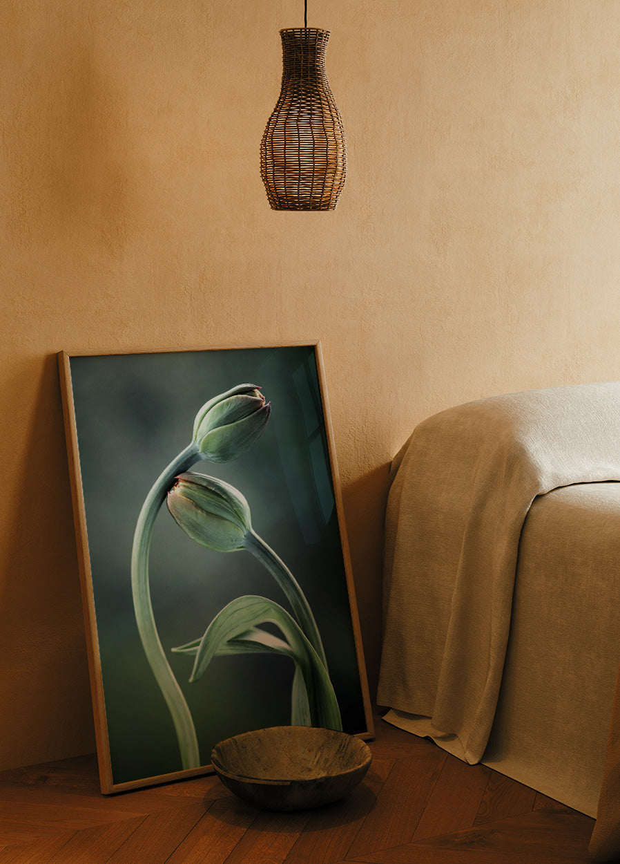 Tulpenknospen-Poster - Posterbox.no