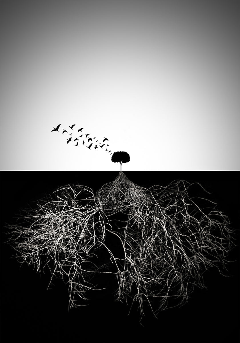 Beurteilen Sie nicht nach dem Aussehen