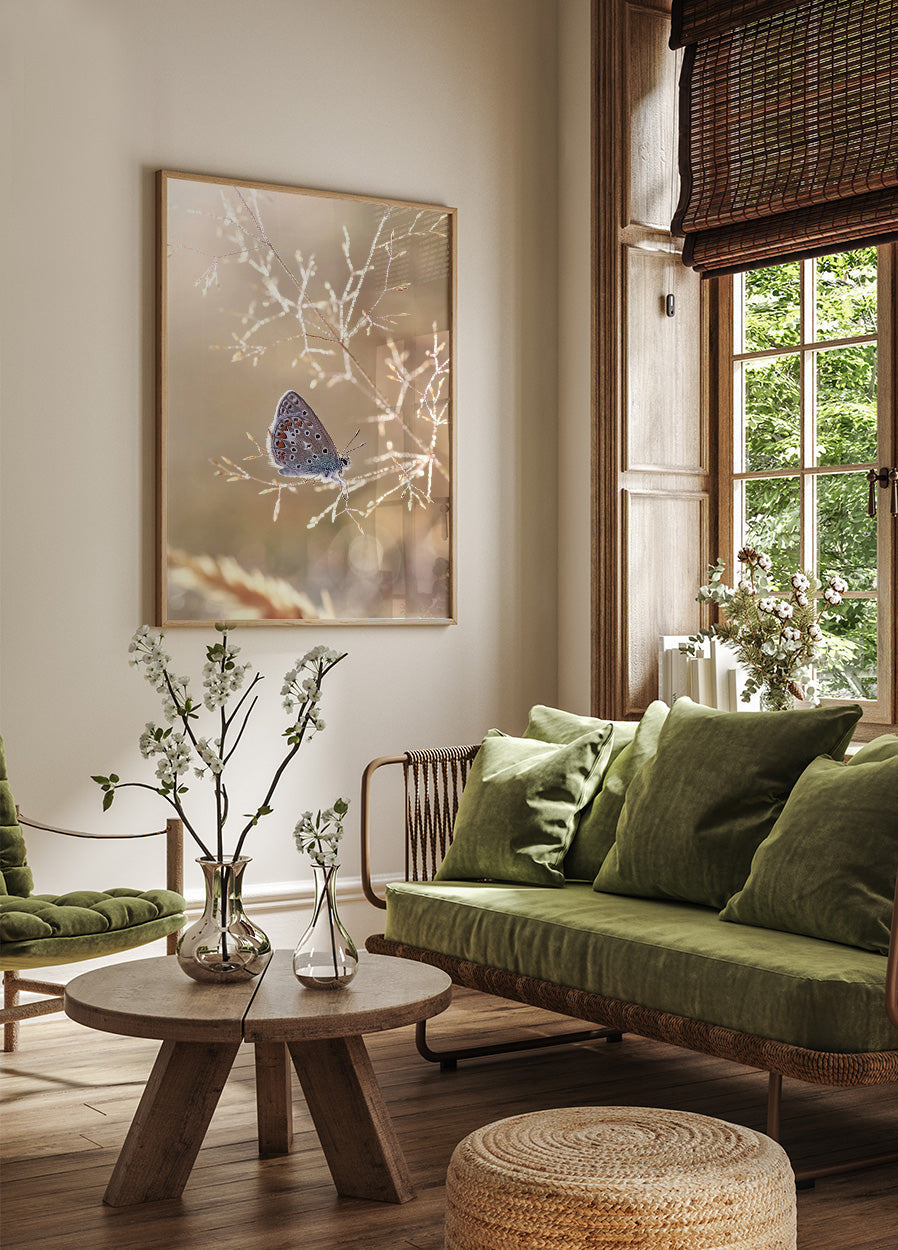 Ikarus-Schmetterling im Sonnenschein Poster - Posterbox.no