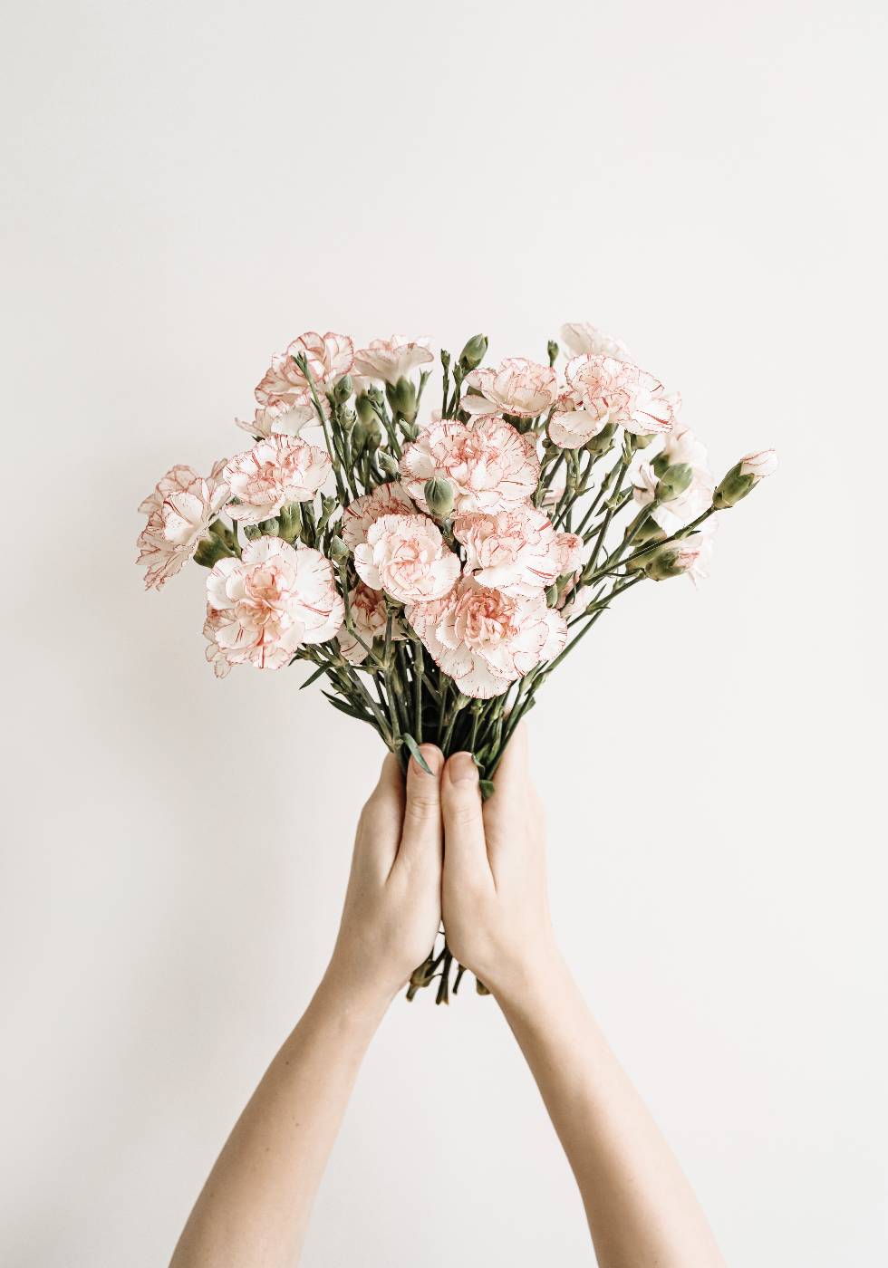 Nelkenblumenstrauß Poster - Posterbox.no