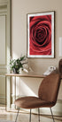 Rote Rose Poster - Posterbox.no