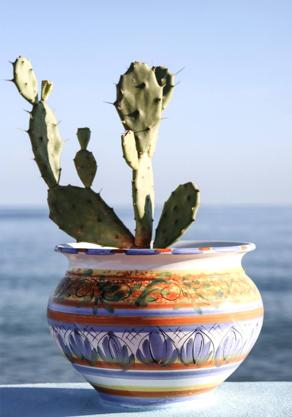 Sukkulenten-Vase-Seaside-Poster - Posterbox.no