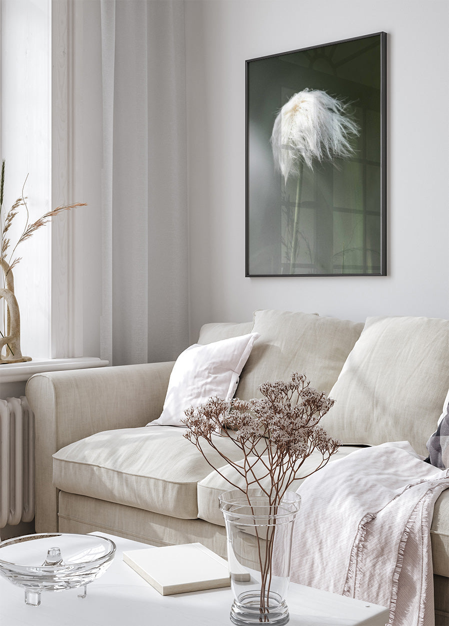 Wollgras-Poster - Posterbox.no