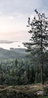 Naturlandschaft Poster - Posterbox.no