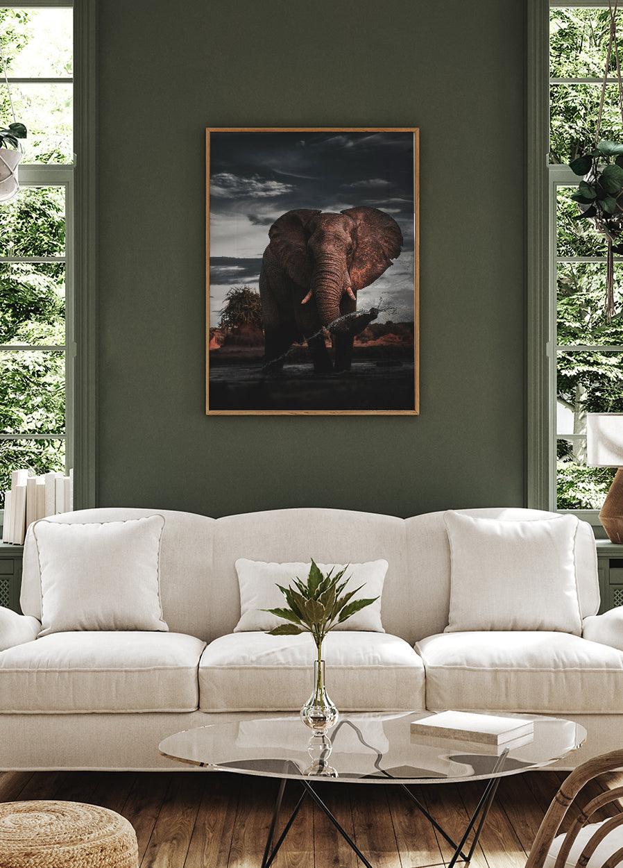 Afrikanischer Elefant Poster - Posterbox.dk