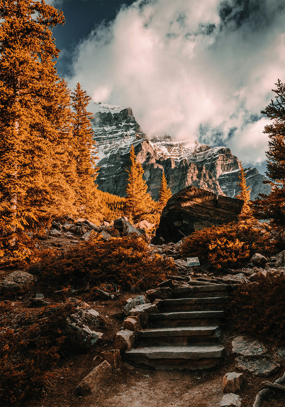 Herbstliches Wildnis-Poster - Posterbox.dk