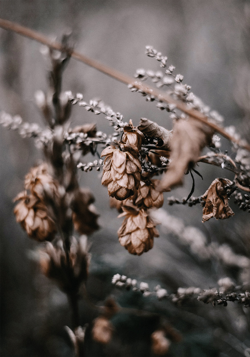 Herbstankunftsplakat - Posterbox.dk