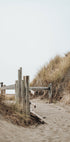 Strandeingangsposter - Posterbox.dk