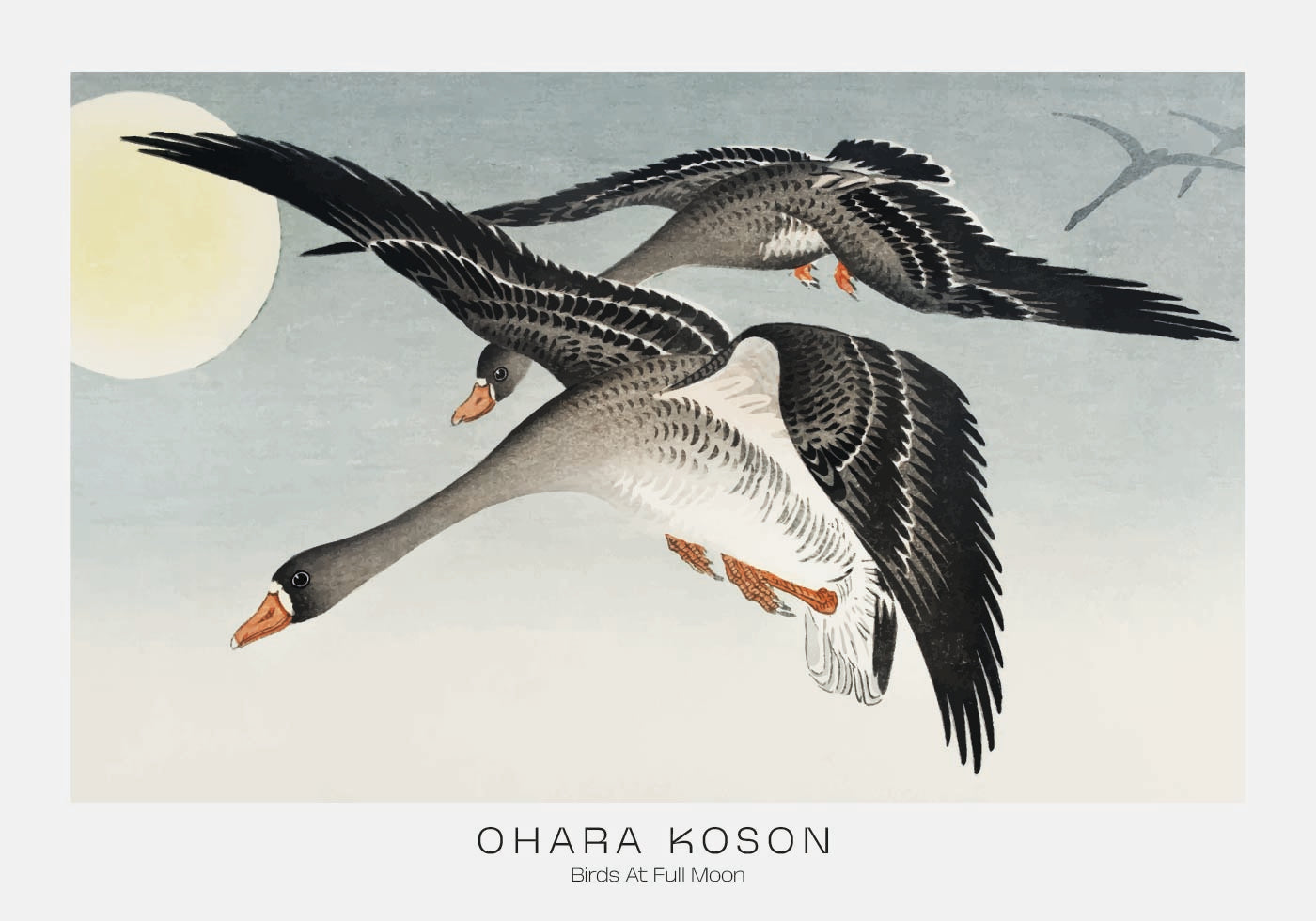 Vögel bei Vollmond von Ohara Koson Poster - Posterbox.dk
