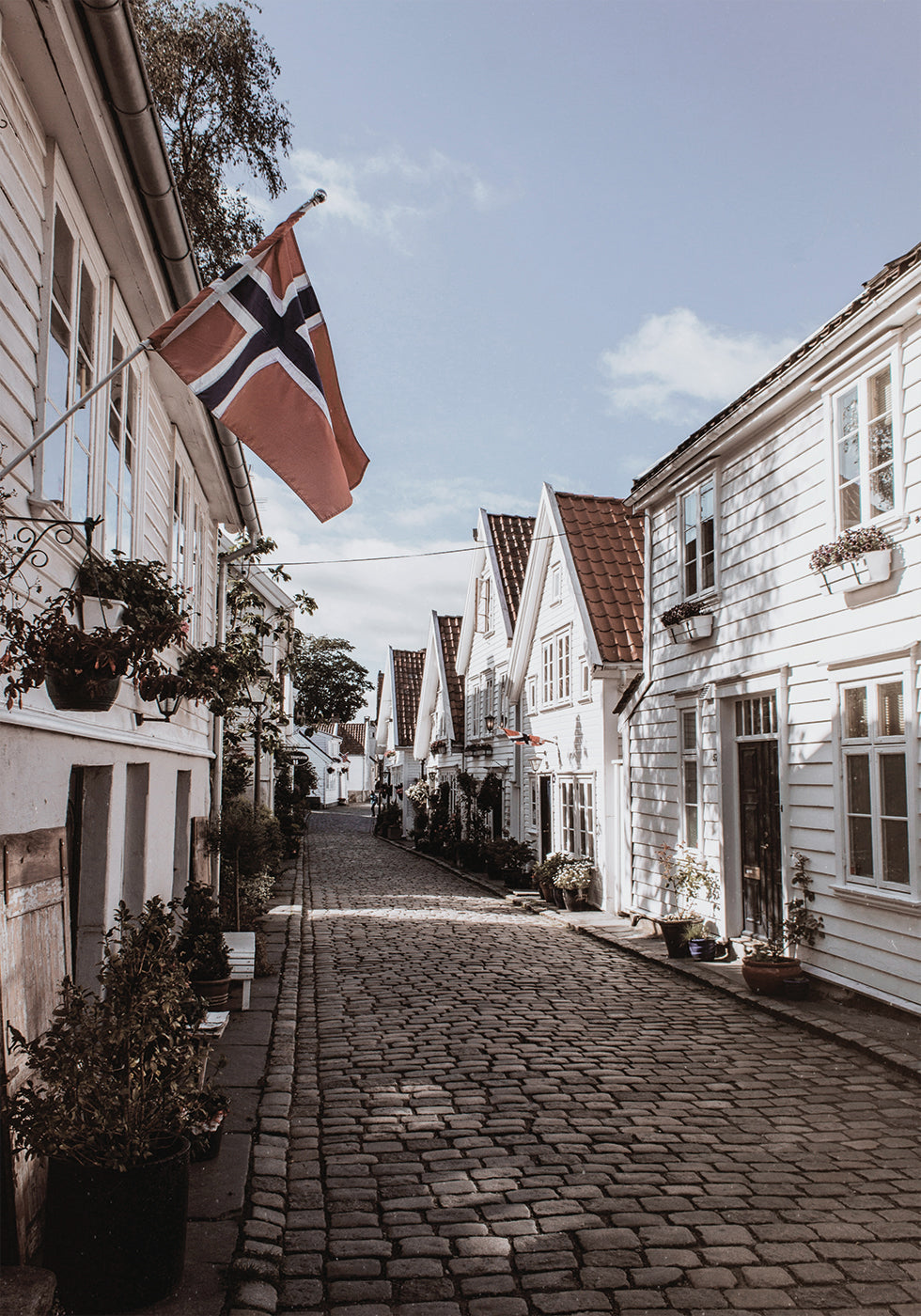 Gemütliche Straße in Norwegen Poster - Posterbox.dk