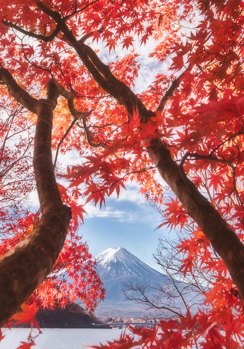 Mt. Fuji ist im Herbstlaub Poster