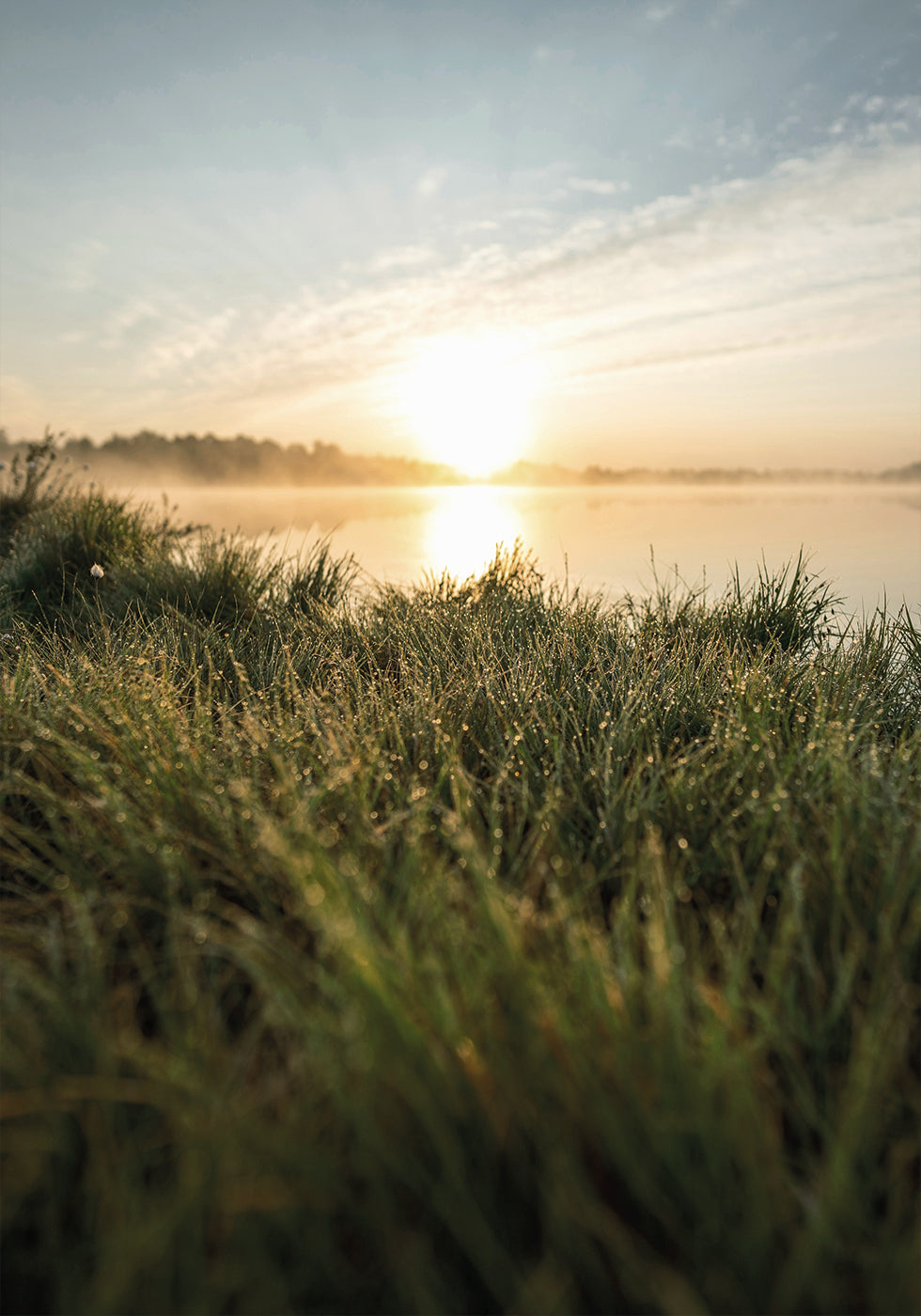 Dewy Dawn by the Lake Poster - Posterbox.dk